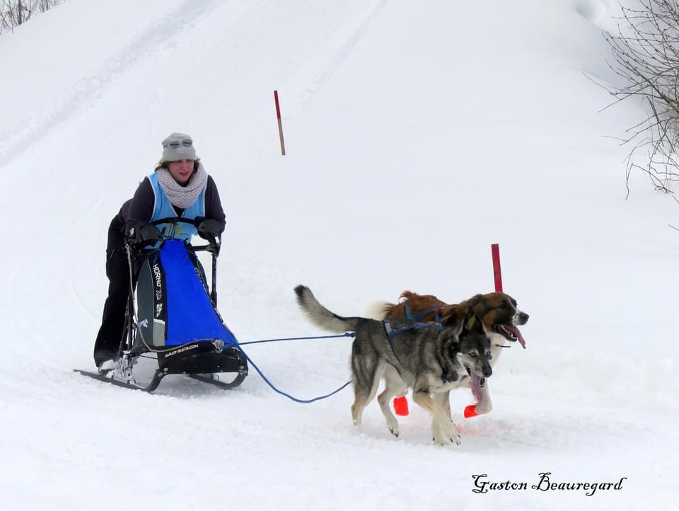 Visitez la section de PHOTOS
